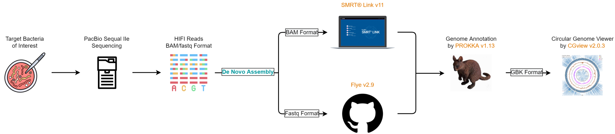 PacBio De Novo Assembly Flowchart Taiwan Genomic Industry Alliance Inc